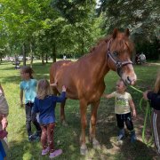 🌸 Vítání jara na olomouckých Poděbradech!

Zima už balí kufry a my se nemůžeme dočkat, až společně přivítáme první (teď už druhé) jarní paprsky. Dorazte za námi o víkendu 21.–22. března na ten správný břeh! ☀️

🗓️ SOBOTA 21. 3.
V sobotu to rozjedeme naplno! Kromě skvělého jídla a pití se děti mohou těšit na:
🧚 Jarní pohádkovou stezku, kterou zajistí @smisekprodeti (od 13:00).
🎨 Malování na obličej, které rozzáří každý úsměv (11:00).
💐 Nádherné květiny od holek z @tenkvet .

🗓️ CELÝ VÍKEND (Sobota + Neděle)
Po oba dny od 11:00 pro vás bude připraveno:
🎨 Tvořivé dílničky pro všechny šikovné ruce.
🐴 Projížďky na ponících – @patky_s_poniky (vždy od 13:00).
🍔 Výborné jídlo a pití, jak se na Geby sluší a patří!

Vezměte rodinu, kamarády a přijďte si užít krásný víkend.
 Budeme se na vás těšit!