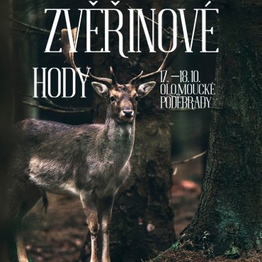 Zvěřinové hody